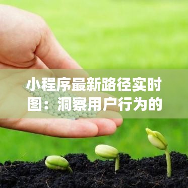 小程序最新路径实时图：洞察用户行为的新工具
