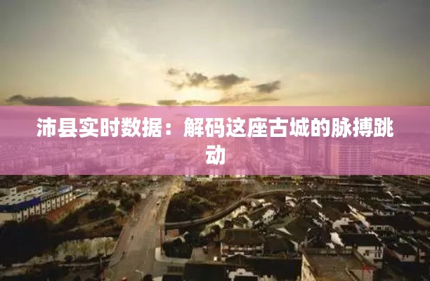 沛县实时数据：解码这座古城的脉搏跳动