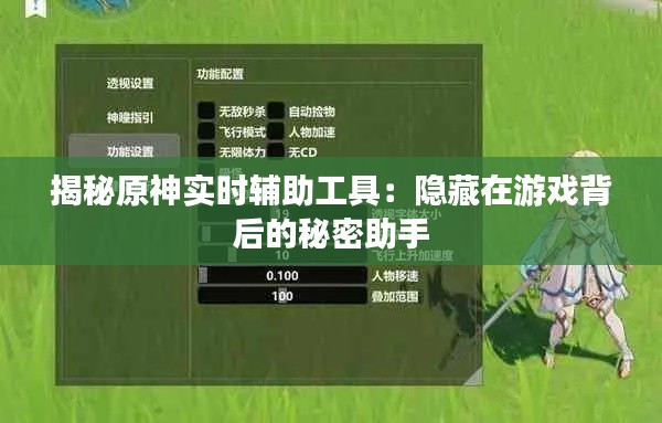 揭秘原神实时辅助工具：隐藏在游戏背后的秘密助手