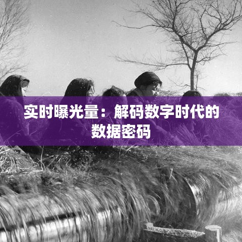 实时曝光量：解码数字时代的数据密码