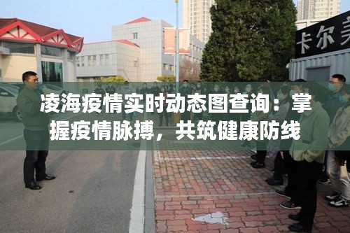 凌海疫情实时动态图查询：掌握疫情脉搏，共筑健康防线