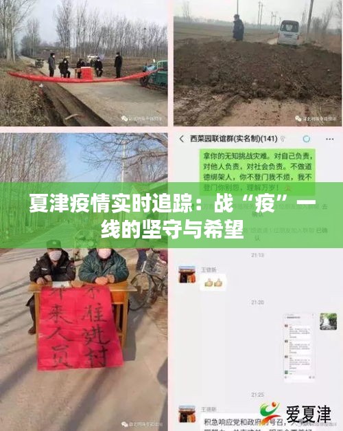 夏津疫情实时追踪：战“疫”一线的坚守与希望