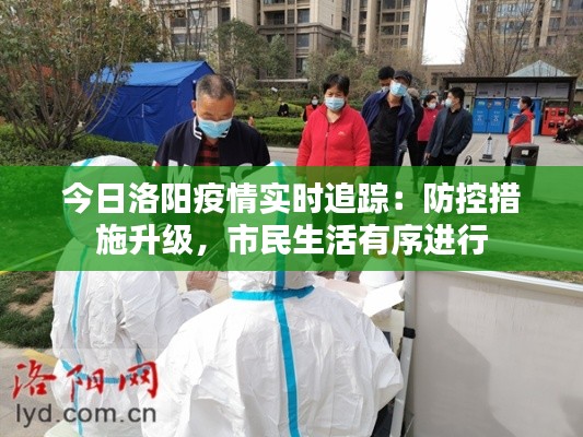 今日洛阳疫情实时追踪：防控措施升级，市民生活有序进行