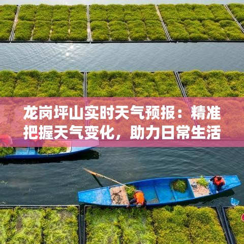 龙岗坪山实时天气预报：精准把握天气变化，助力日常生活