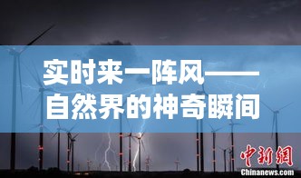 实时来一阵风——自然界的神奇瞬间