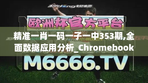 精准一肖一码一子一中353期,全面数据应用分析_Chromebook4.321
