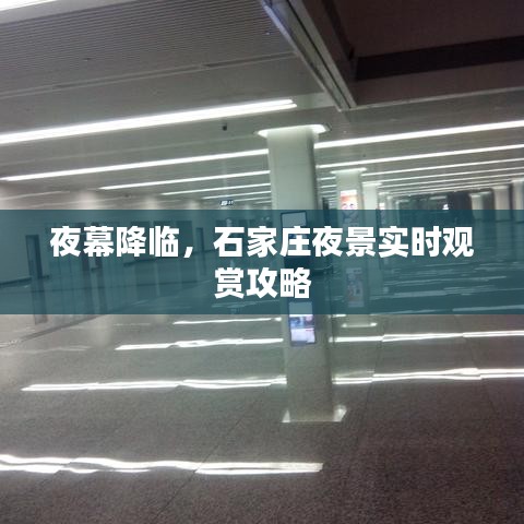 夜幕降临，石家庄夜景实时观赏攻略