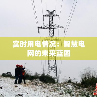 实时用电情况：智慧电网的未来蓝图