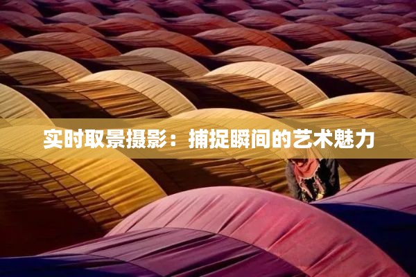 实时取景摄影：捕捉瞬间的艺术魅力