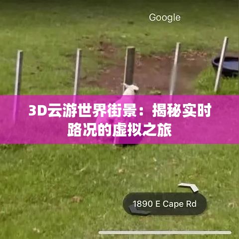 老死不相往来 第3页