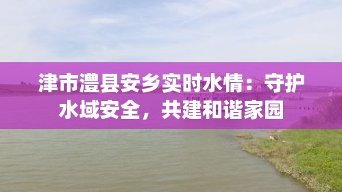 津市澧县安乡实时水情：守护水域安全，共建和谐家园