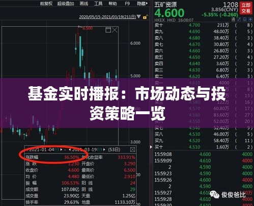 基金实时播报：市场动态与投资策略一览