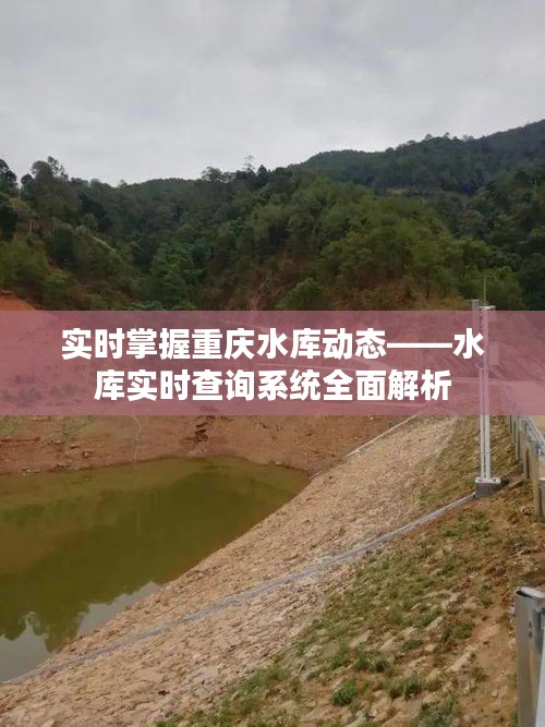 实时掌握重庆水库动态——水库实时查询系统全面解析
