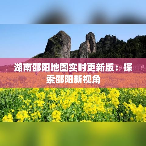 劳燕分飞 第3页