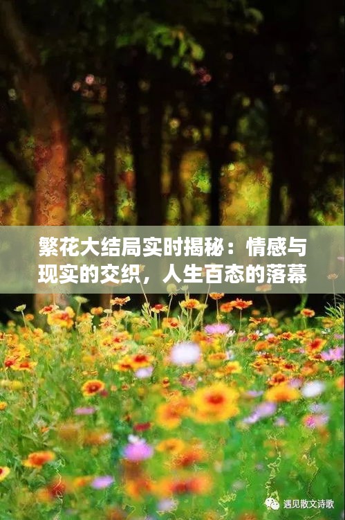 繁花大结局实时揭秘：情感与现实的交织，人生百态的落幕