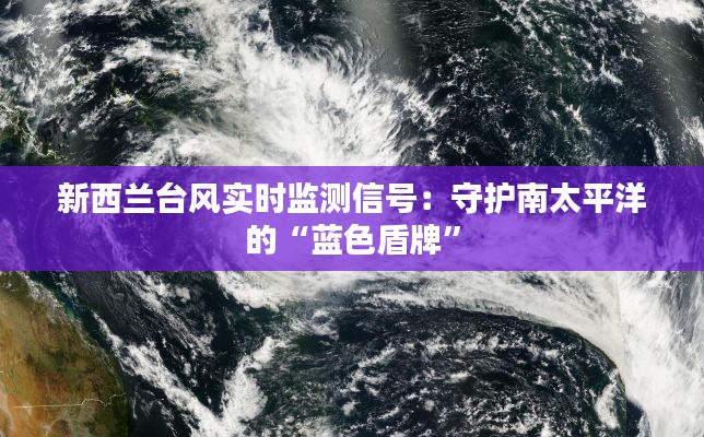 新西兰台风实时监测信号：守护南太平洋的“蓝色盾牌”