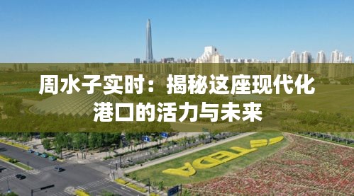 周水子实时：揭秘这座现代化港口的活力与未来