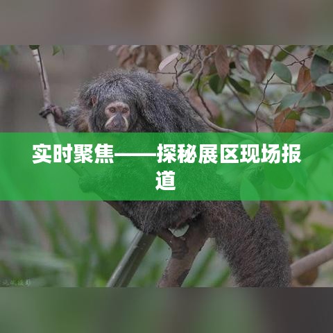 闻所未闻 第3页