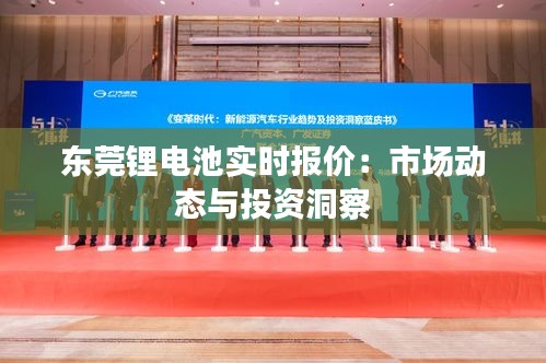 东莞锂电池实时报价：市场动态与投资洞察