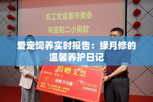 乌鸟私情 第2页