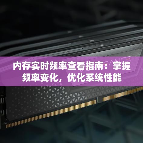 内存实时频率查看指南：掌握频率变化，优化系统性能