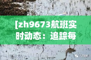 [zh9673航班实时动态：追踪每一次航班的精彩瞬间]