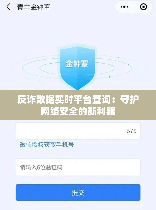 反诈数据实时平台查询：守护网络安全的新利器