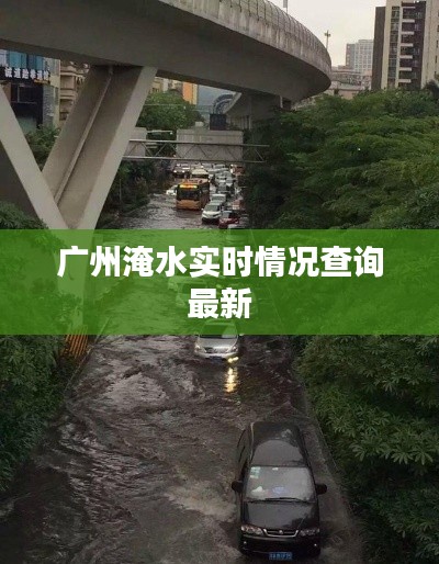 绝代佳人 第3页