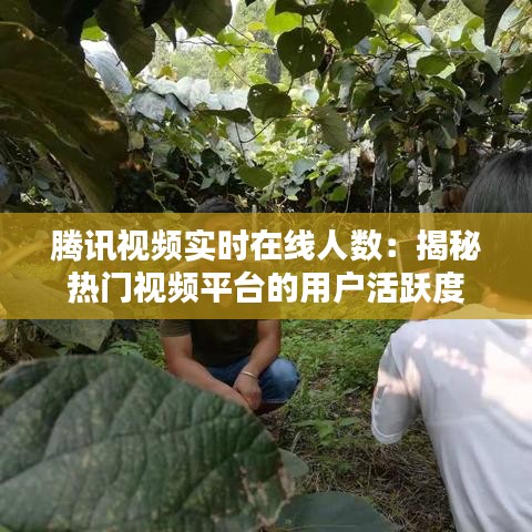 束手就缚 第3页