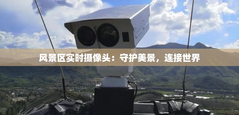 囊萤映雪 第3页
