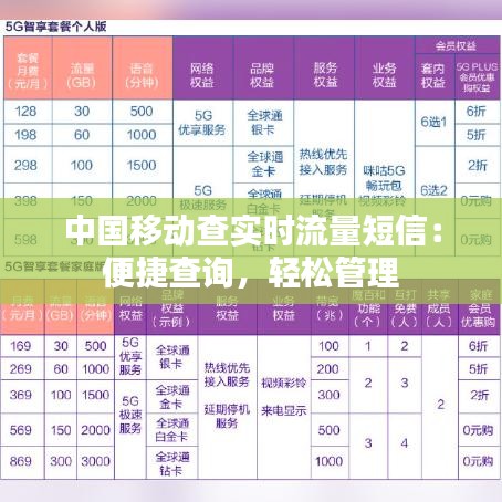 中国移动查实时流量短信：便捷查询，轻松管理