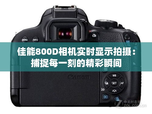 佳能800D相机实时显示拍摄：捕捉每一刻的精彩瞬间
