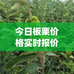 骈首就僇 第3页