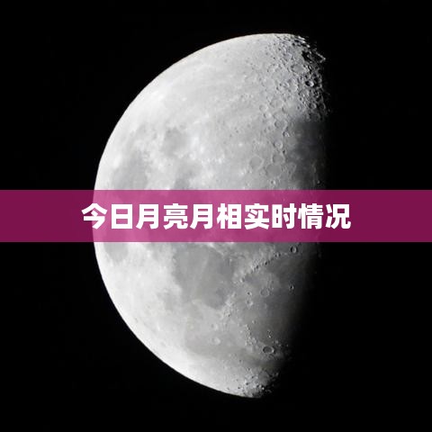 删华就素 第3页