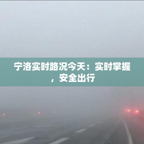 鸿飞雪爪 第3页