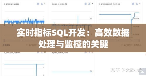 眼张失道 第3页