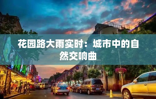 花园路大雨实时：城市中的自然交响曲