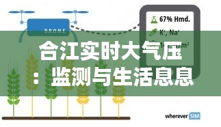 下马看花 第3页
