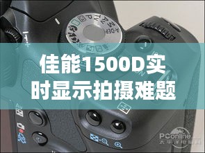 大雅君子 第3页