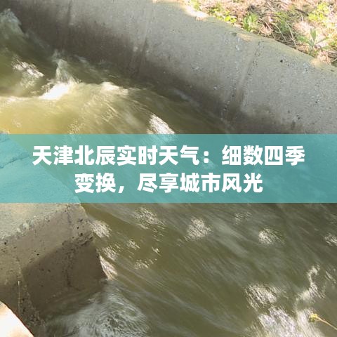 不翼而飞 第3页