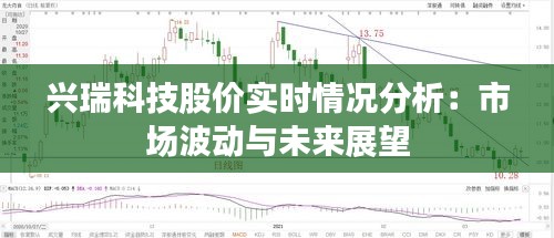 兴瑞科技股价实时情况分析：市场波动与未来展望