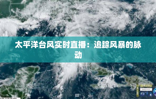 风华绝代 第3页