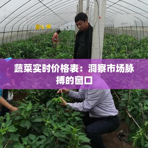只争朝夕 第3页