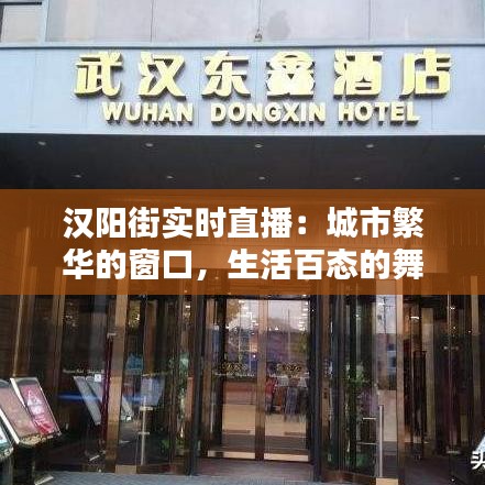 汉阳街实时直播：城市繁华的窗口，生活百态的舞台