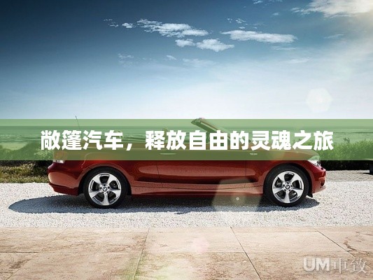敞篷汽车，释放自由的灵魂之旅