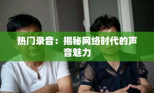 张皇铺饰 第3页
