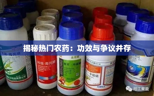 学贯中西 第2页