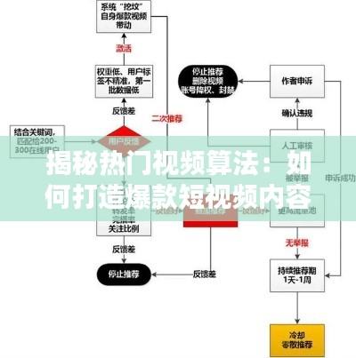 揭秘热门视频算法：如何打造爆款短视频内容