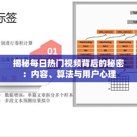 揭秘每日热门视频背后的秘密：内容、算法与用户心理