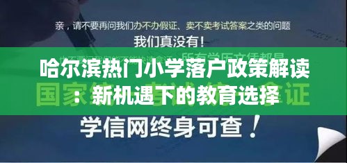 衣不完采 第2页